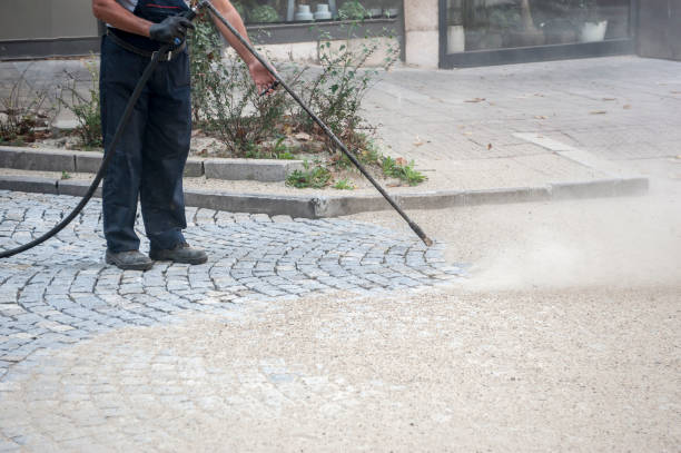 Best Fence Cleaning  in Lewisville, WA