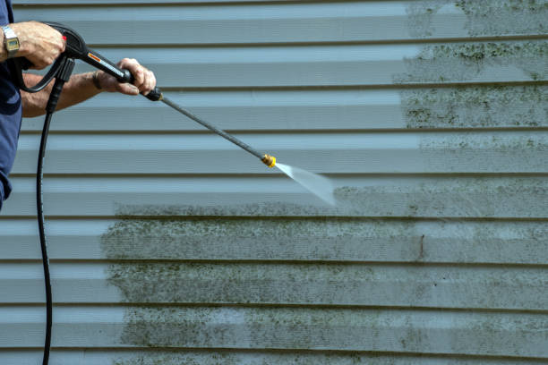 Paint Preparation in Lewisville, WA